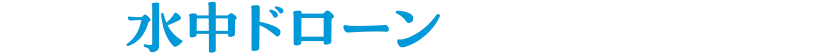 愛知水中ドローン事業協同組合